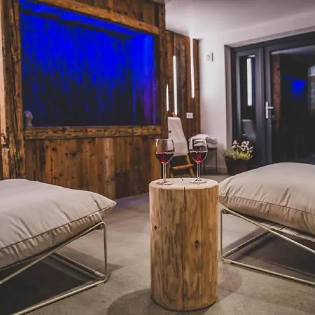 Tatry Dom Zakopianski Premium *